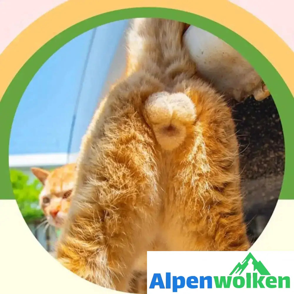 Alpenwolken - 2023 Katzen Arschlöcher Kalender