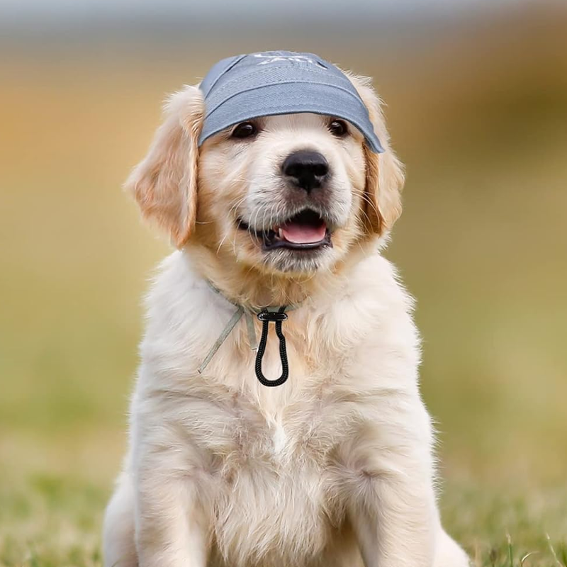 Alpenwolken - Outdoor-Sonnenschutzhaube für Hunde