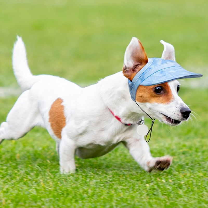 Alpenwolken - Outdoor-Sonnenschutzhaube für Hunde