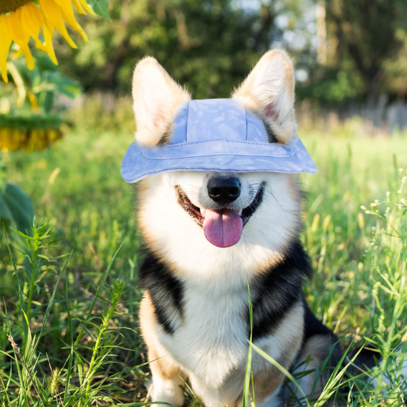 Alpenwolken - Outdoor-Sonnenschutzhaube für Hunde