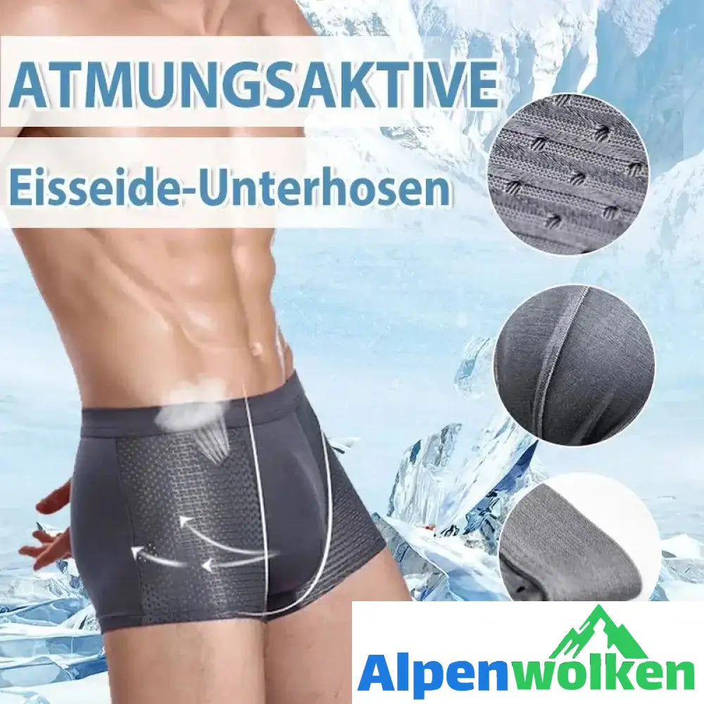 Alpenwolken - Atmungsaktive Eisseide-Unterhosen Herren Wabenlüftungsdesign