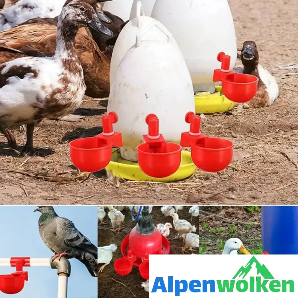 Alpenwolken - Automatische Geflügeltränke