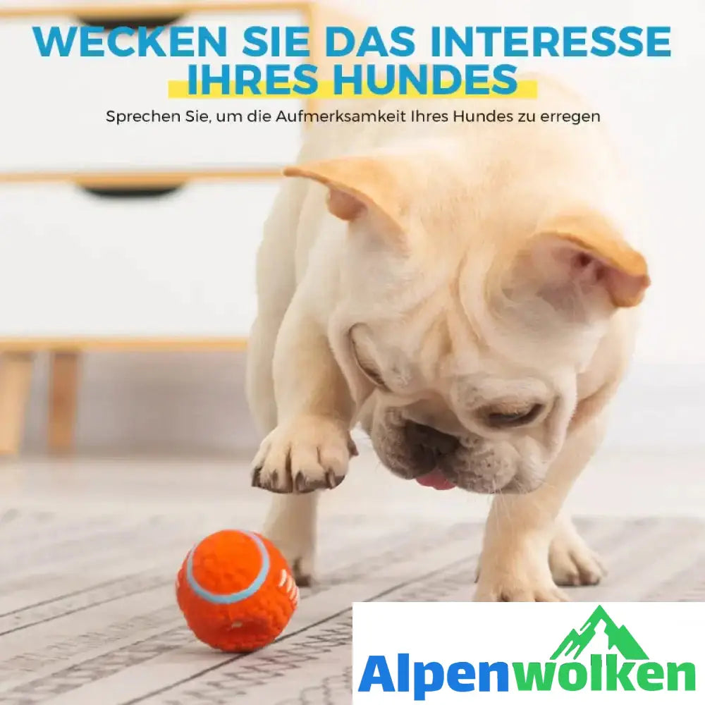 Alpenwolken - 🐶Bissfester Ball für Hunde🐕