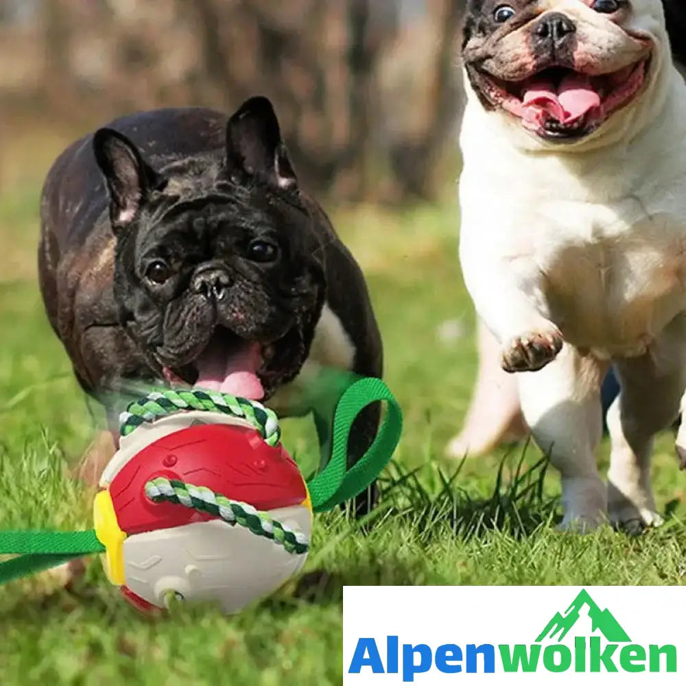 Alpenwolken - Bissfestes Hundespielzeug Frisbeefußball