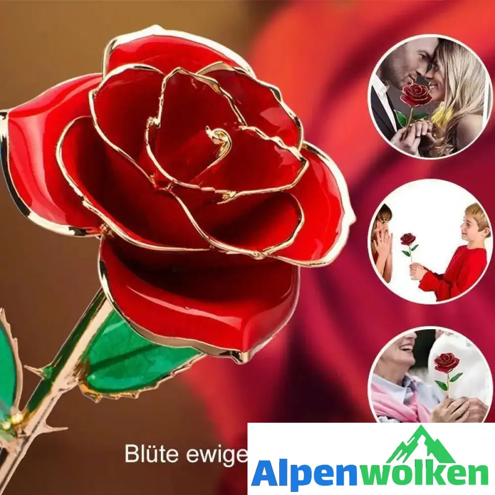 Alpenwolken - Blüte Ewige 24K Gold Rose