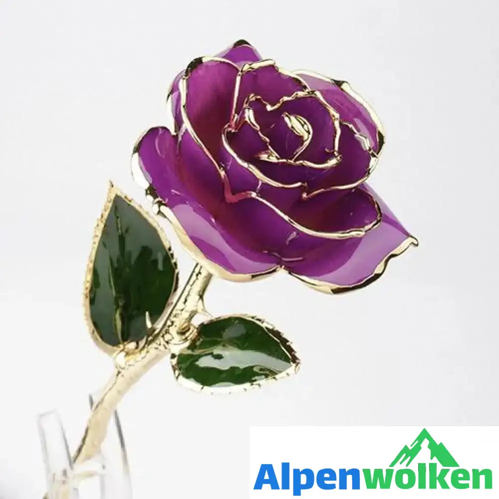 Alpenwolken - Blüte Ewige 24K Gold Rose LILA