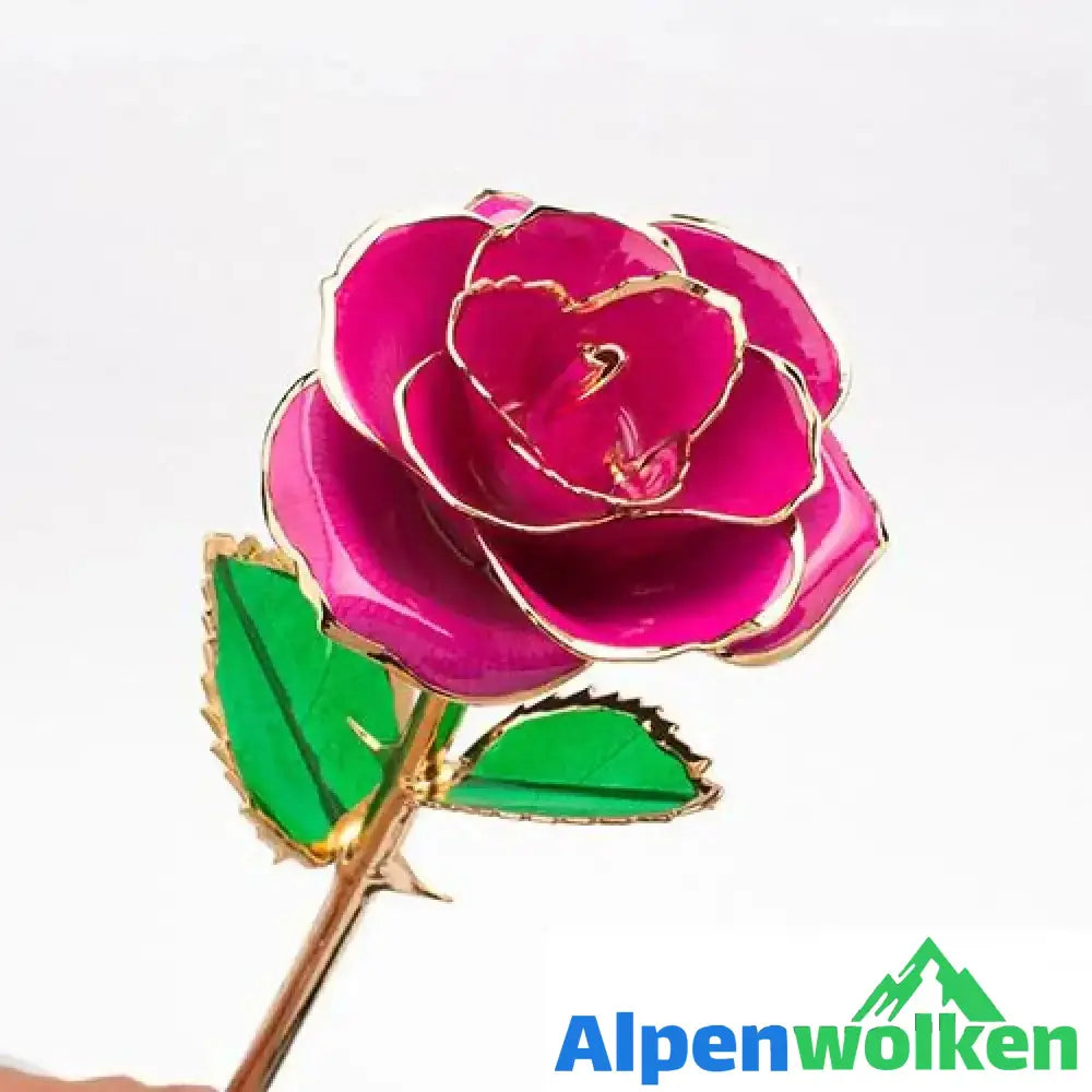 Alpenwolken - Blüte Ewige 24K Gold Rose ROSAROT