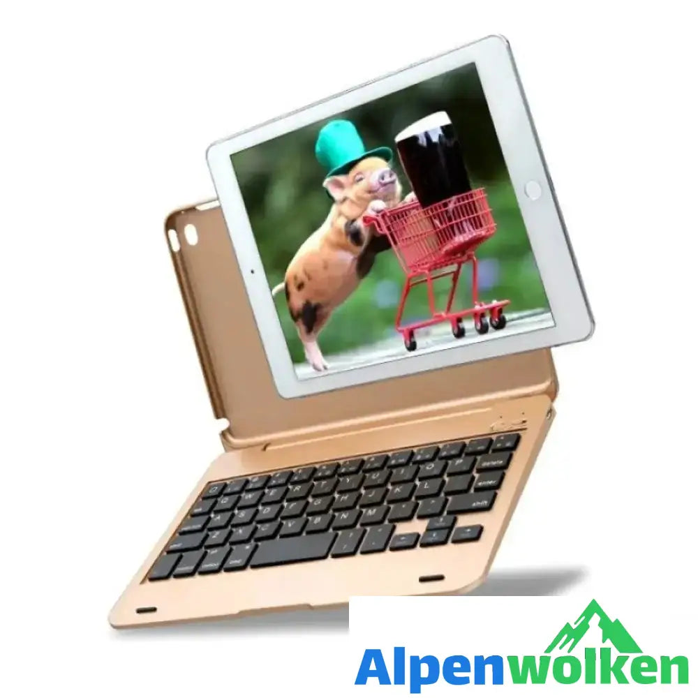 Alpenwolken - Bluetooth Tastatur mit Abdeckung für iPadmini4 Gold