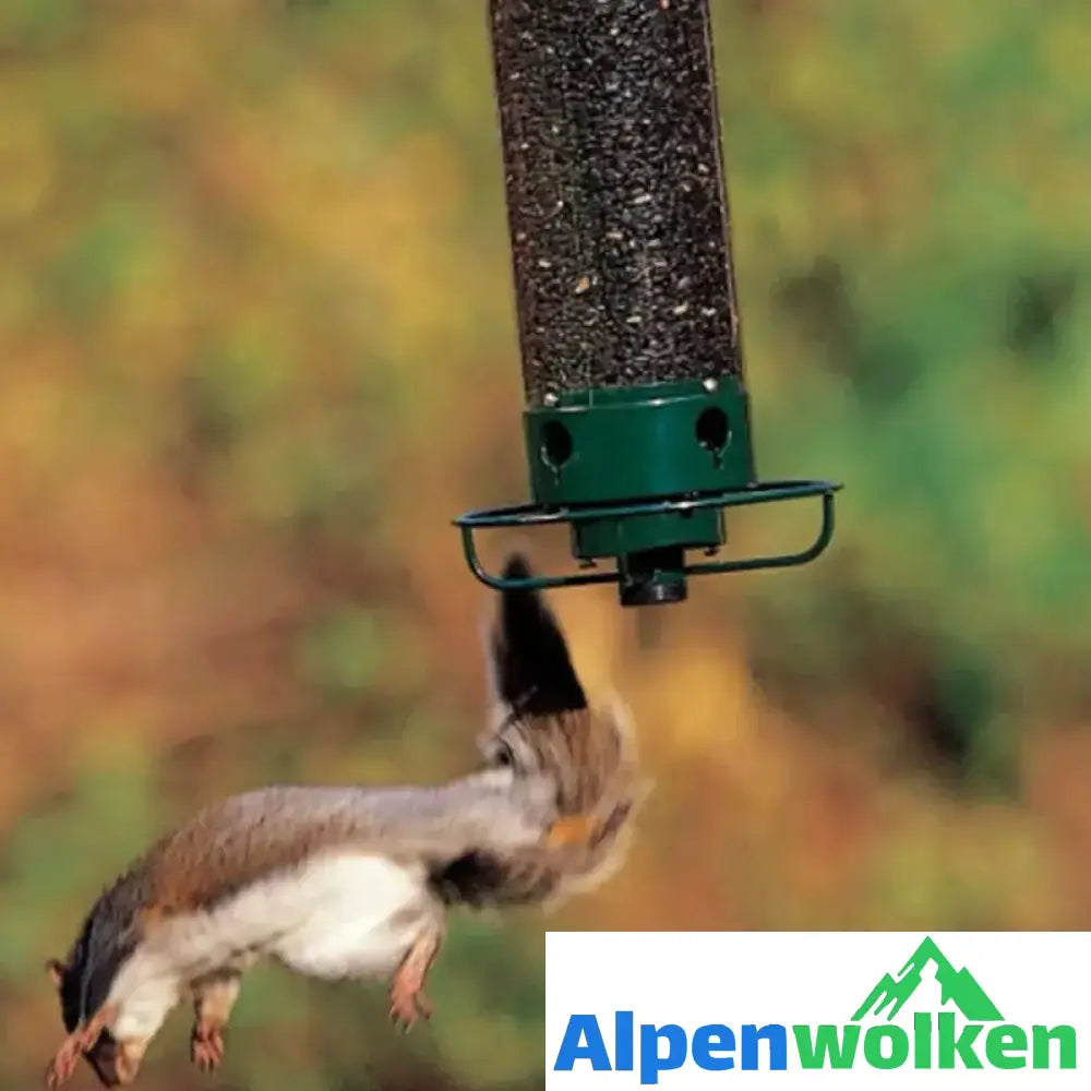 Alpenwolken - 🐦Eichhörnchensicherer Vogelhäuschen