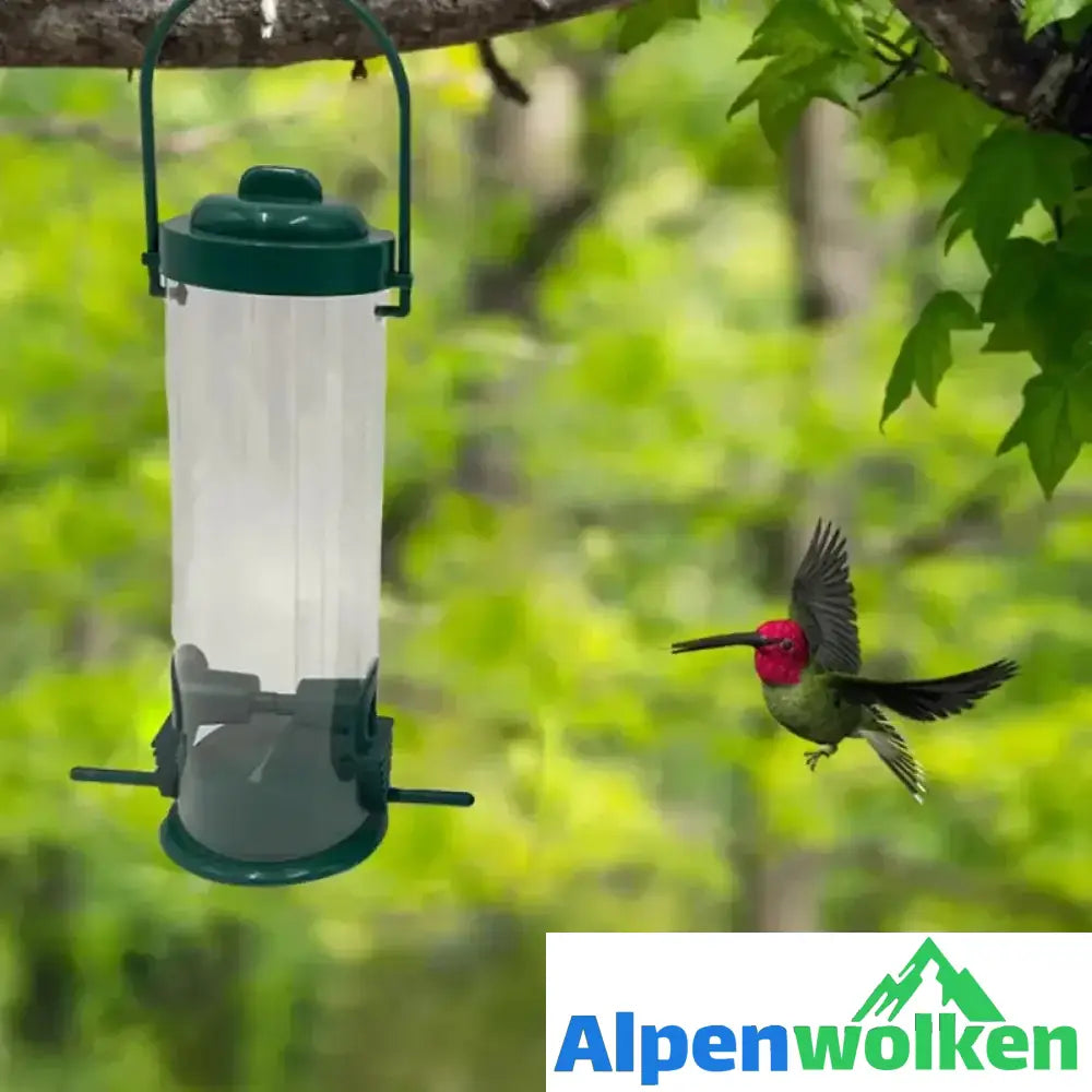 Alpenwolken - 🐦Eichhörnchensicherer Vogelhäuschen