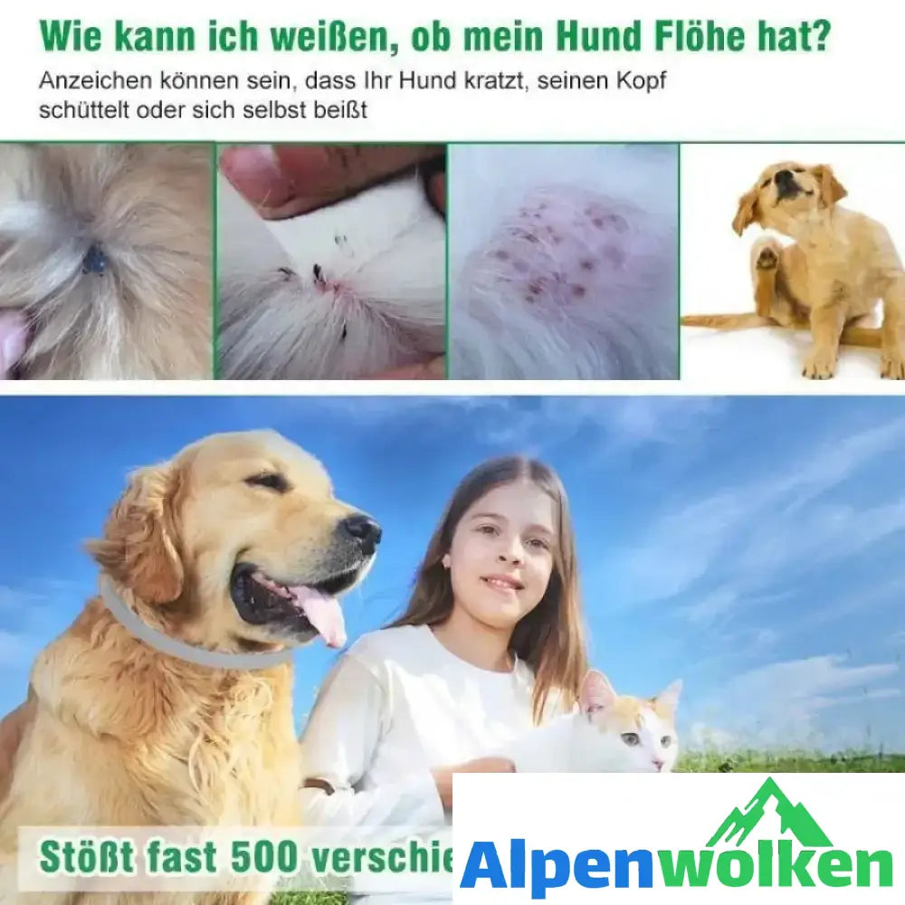 Alpenwolken - Floh- & Zeckenhalsband für Hunde