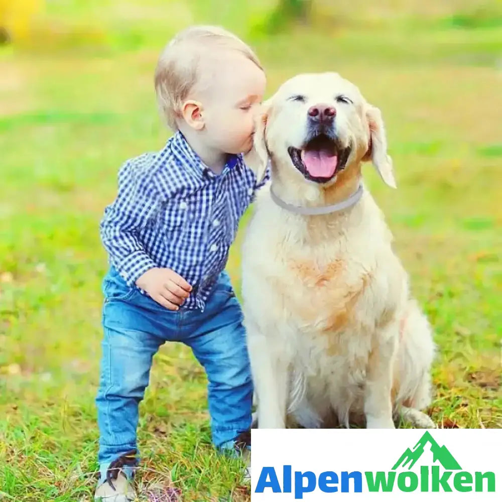 Alpenwolken - Floh- & Zeckenhalsband für Hunde