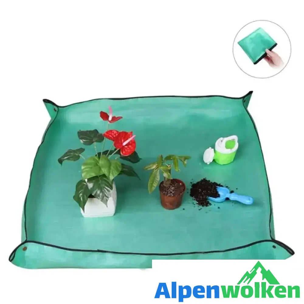 Alpenwolken - Gartenpflanz Matte