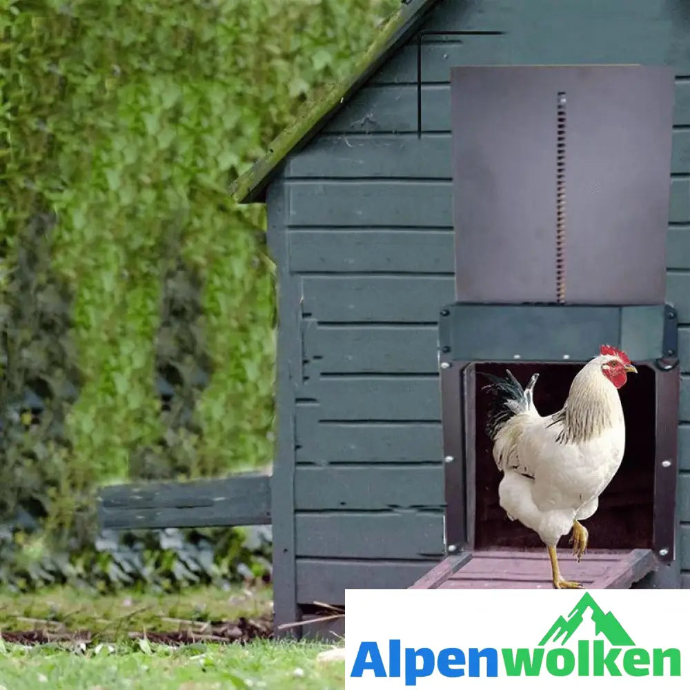 Alpenwolken - 🐥Geflügelfarm Automatische Hühnerhaustür