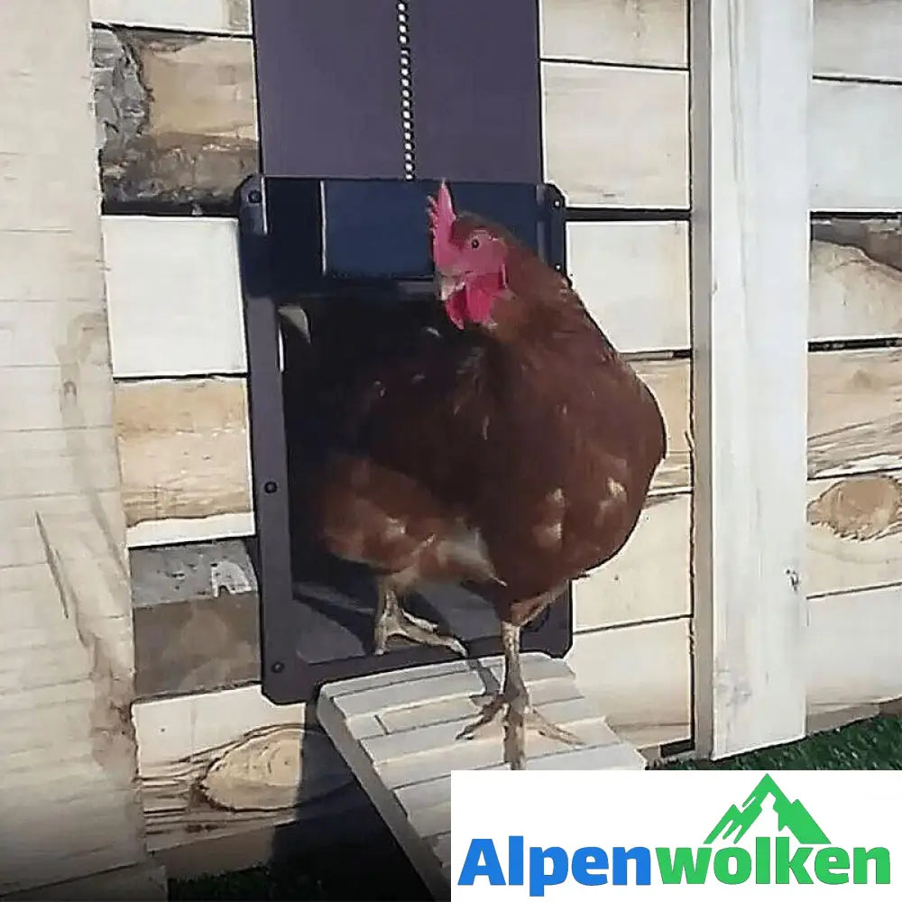 Alpenwolken - 🐥Geflügelfarm Automatische Hühnerhaustür