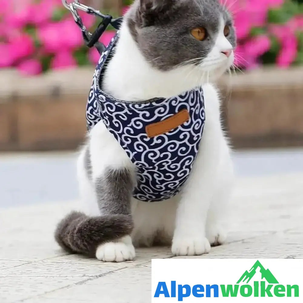 Alpenwolken - Geschirr und Leine der Katzenweste zum Gehen im Freien