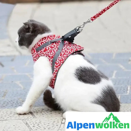 Alpenwolken - Geschirr und Leine der Katzenweste zum Gehen im Freien Rot