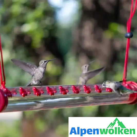 Alpenwolken - Hängender Kolibri-Feeder