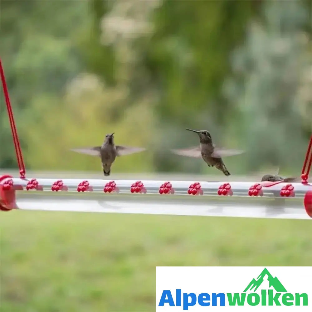 Alpenwolken - Hängender Kolibri-Feeder