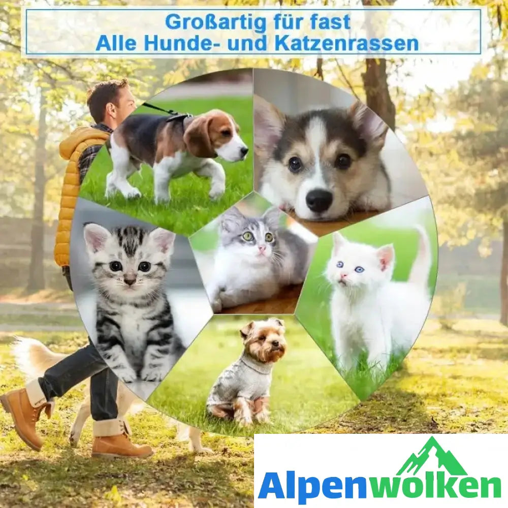 Alpenwolken - Haustier Pflegen Kamm