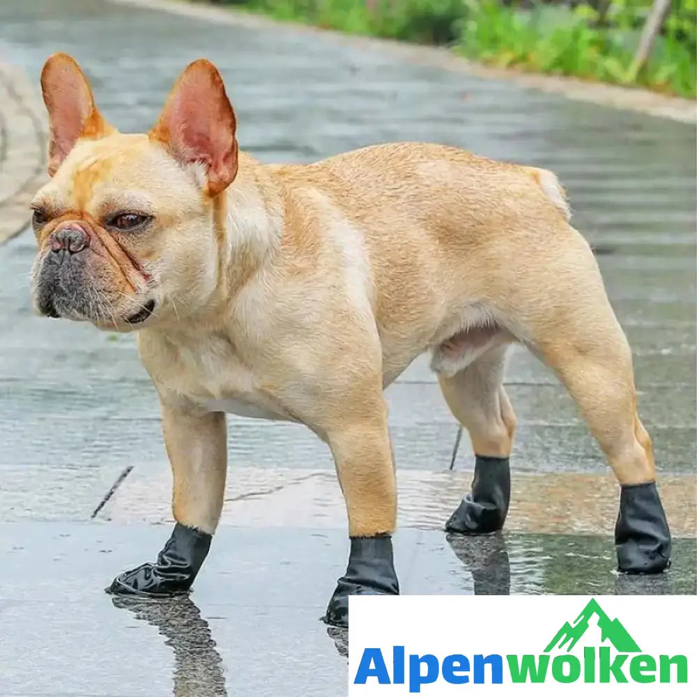 Alpenwolken - Haustier Regenstiefel