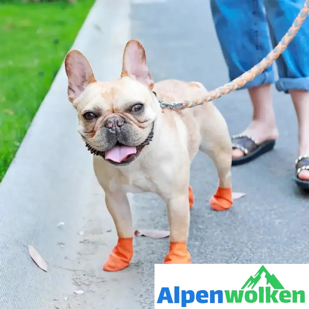 Alpenwolken - Haustier Regenstiefel