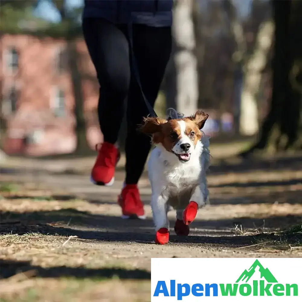 Alpenwolken - Haustier Regenstiefel