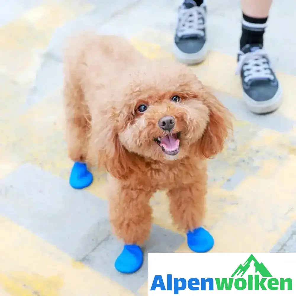 Alpenwolken - Haustier Regenstiefel