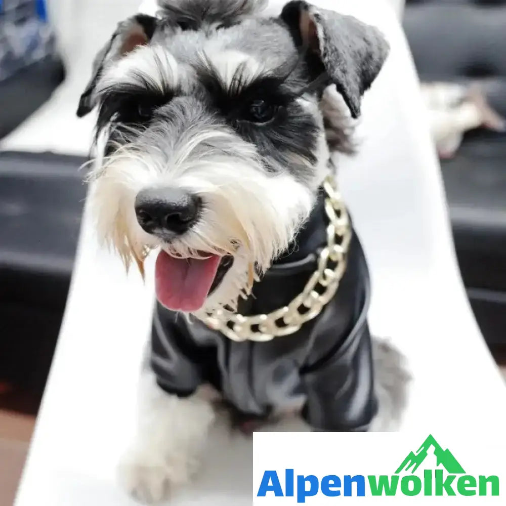 Alpenwolken - Haustier Schmuck Dicke Goldkette Halsband