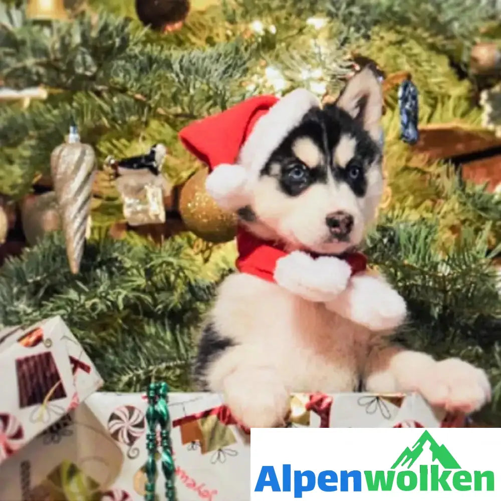 Alpenwolken - Haustier Weihnachtsfeiertag Weihnachtsmütze mit Schal