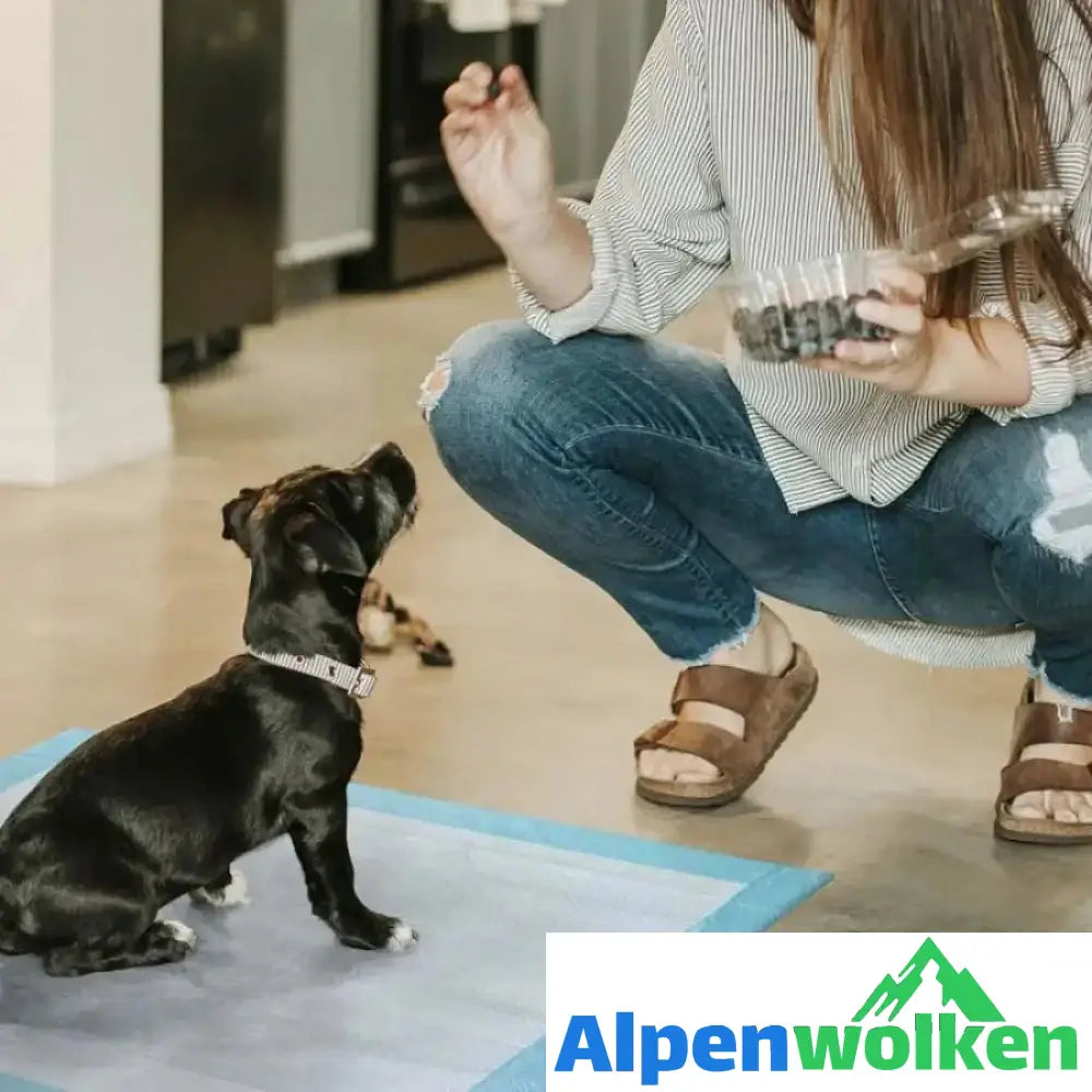 Alpenwolken - Haustierwindeln, Einwegverdickung, desodorierend, saugfähig, Hund, Windel, Training, Hundewindeln