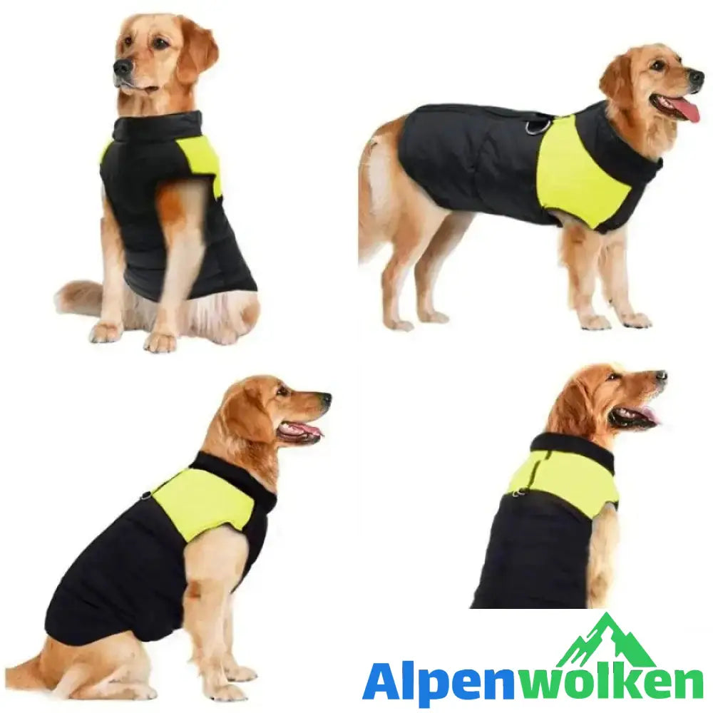 Alpenwolken - Hund Weste Jacke für kaltes Wetter mit Reißverschluss und Leinenring