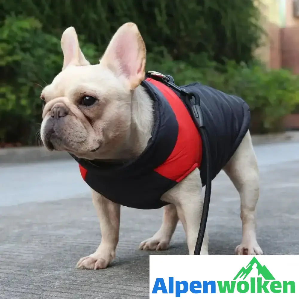 Alpenwolken - Hund Weste Jacke für kaltes Wetter mit Reißverschluss und Leinenring