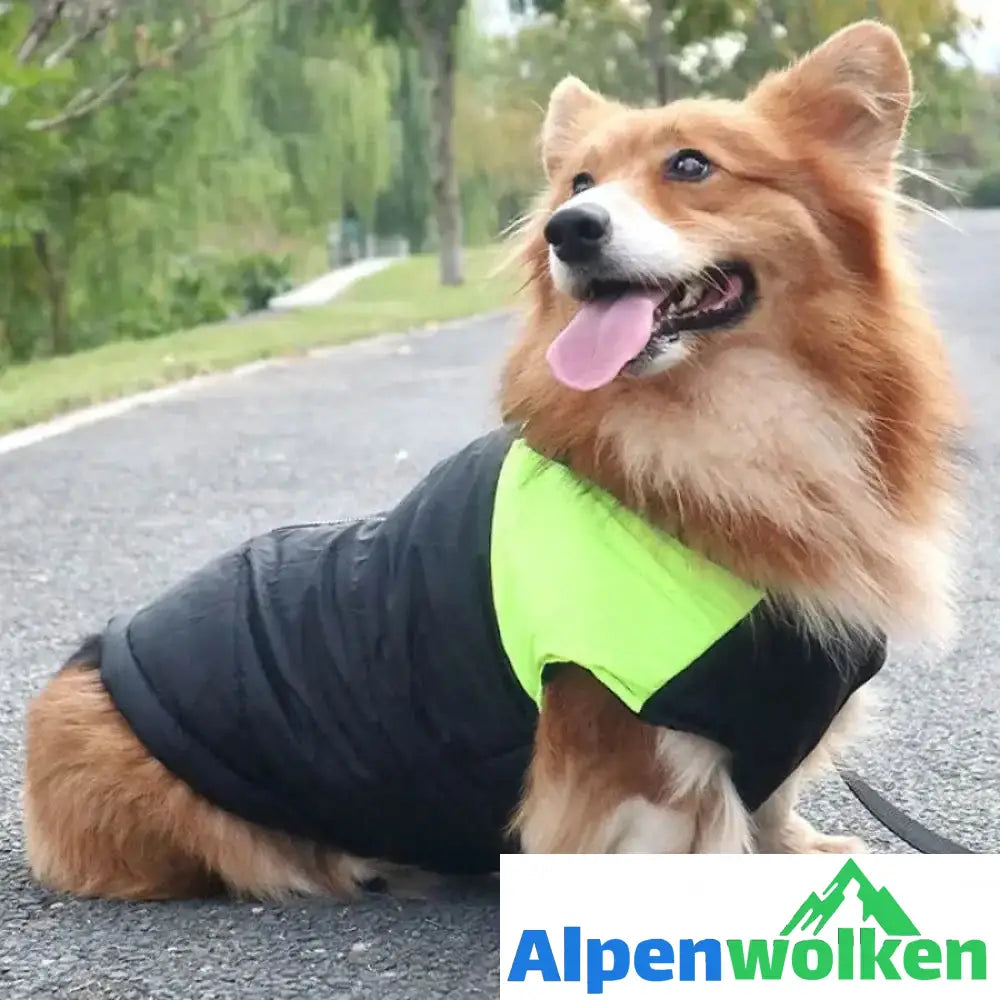 Alpenwolken - Hund Weste Jacke für kaltes Wetter mit Reißverschluss und Leinenring