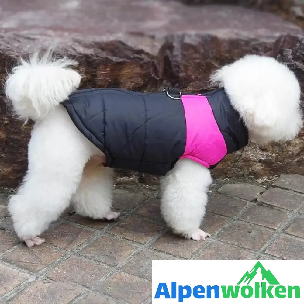 Alpenwolken - Hund Weste Jacke für kaltes Wetter mit Reißverschluss und Leinenring