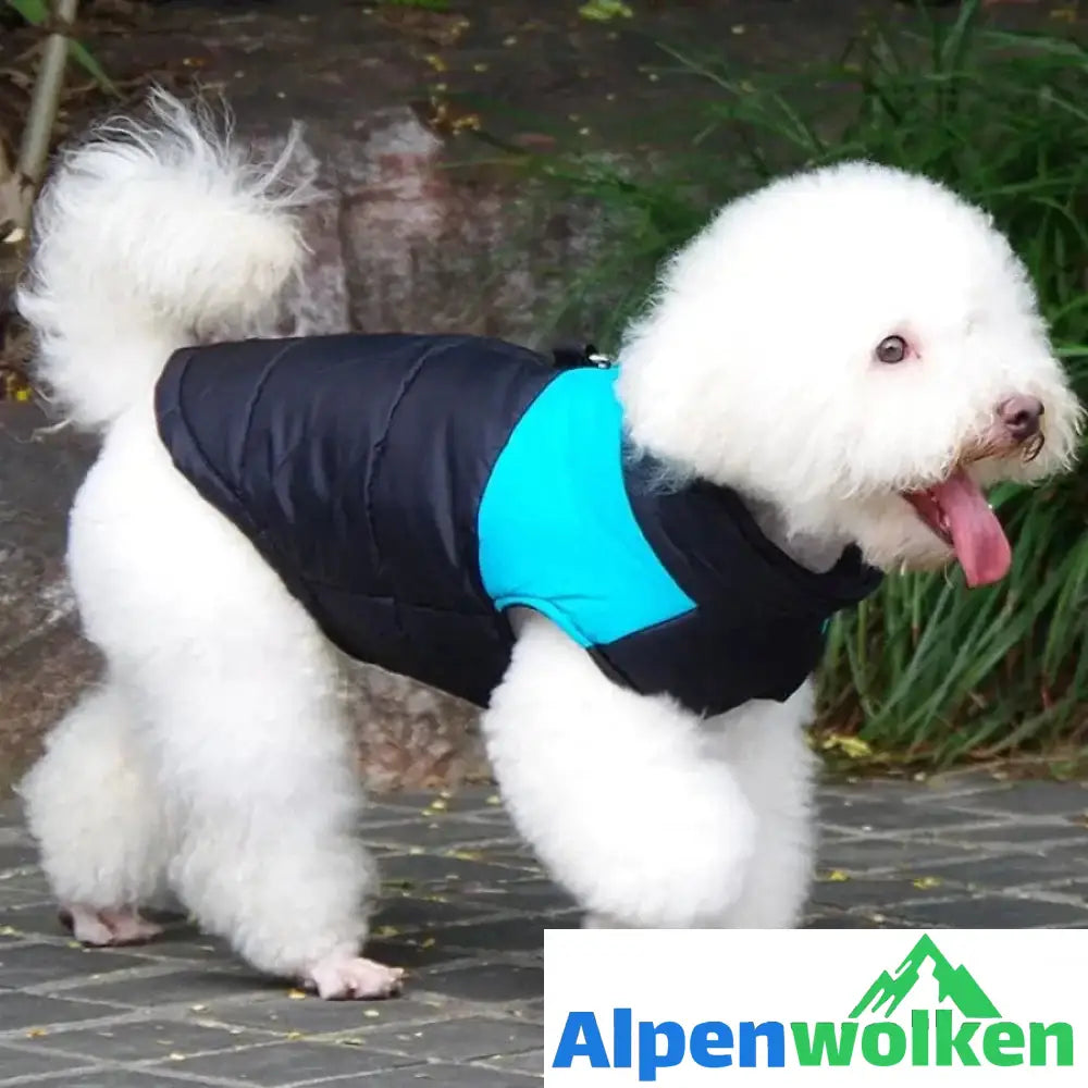 Alpenwolken - Hund Weste Jacke für kaltes Wetter mit Reißverschluss und Leinenring