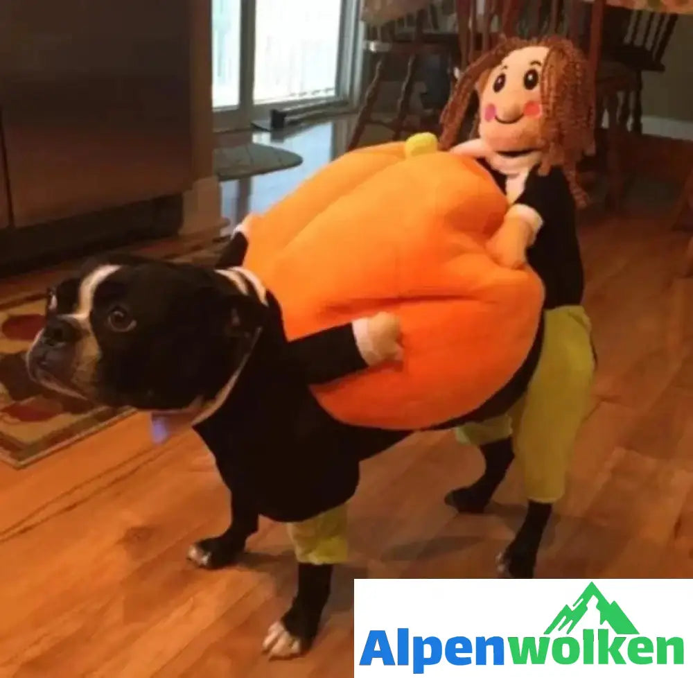 Alpenwolken - Hundekürbis Halloween Kostüm