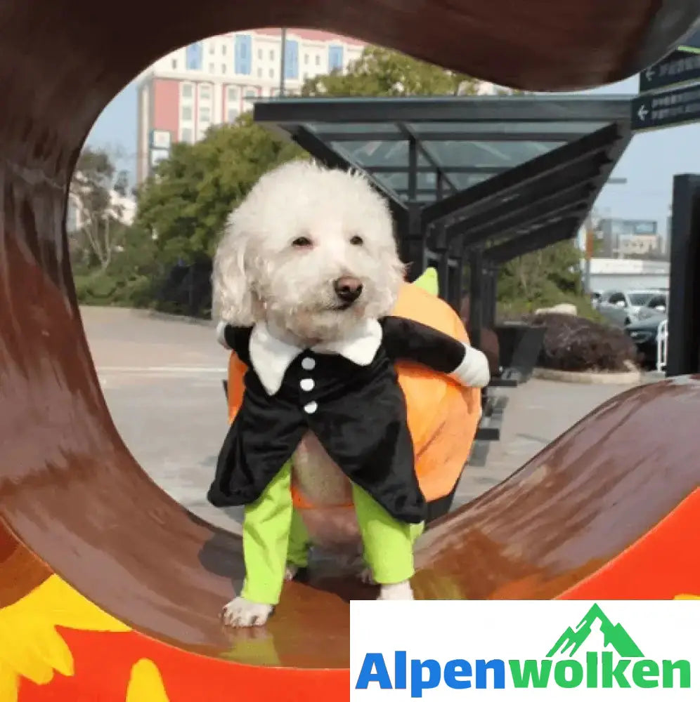 Alpenwolken - Hundekürbis Halloween Kostüm