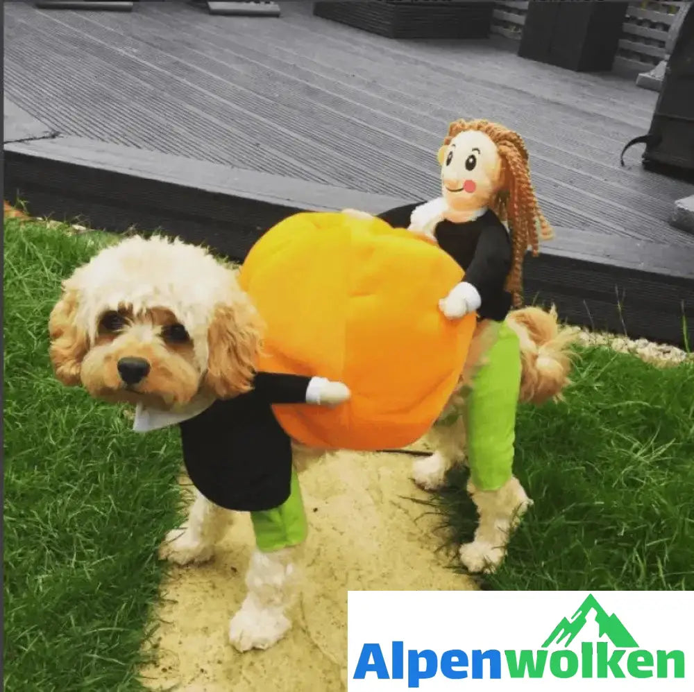 Alpenwolken - Hundekürbis Halloween Kostüm