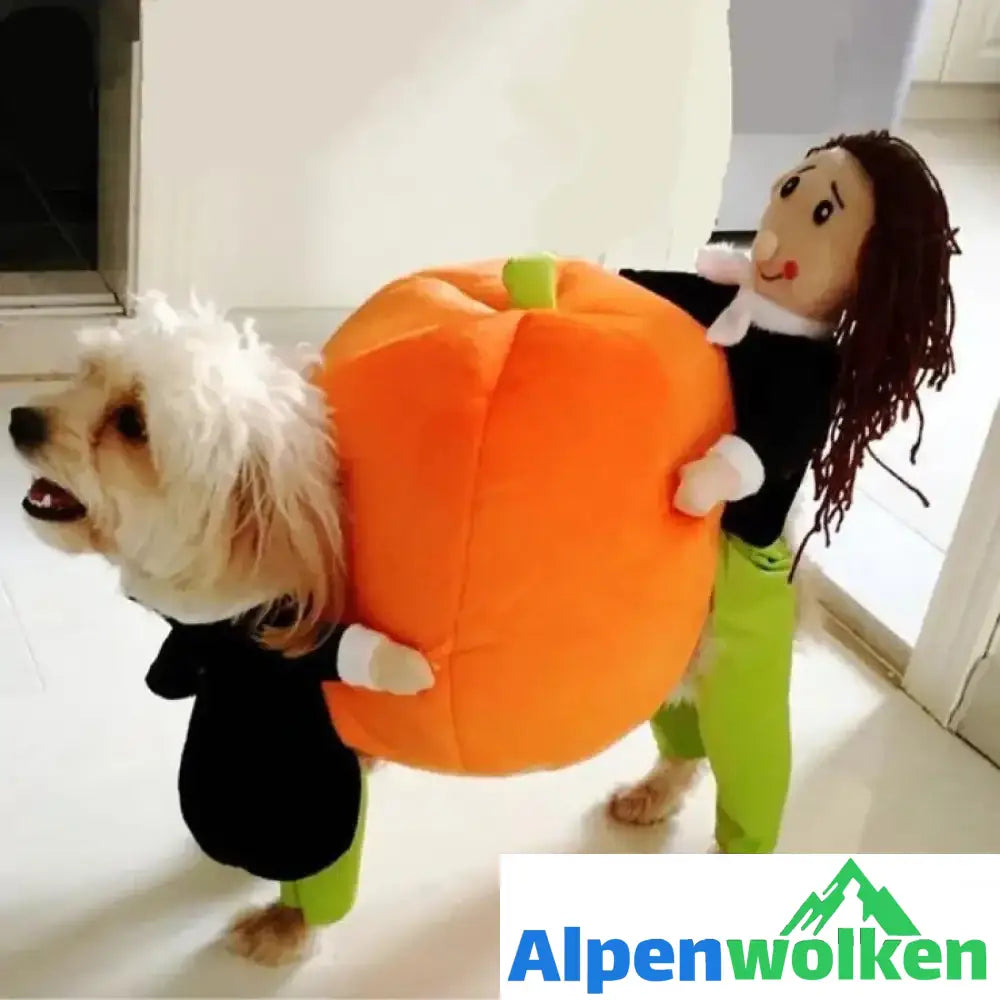 Alpenwolken - Hundekürbis Halloween Kostüm