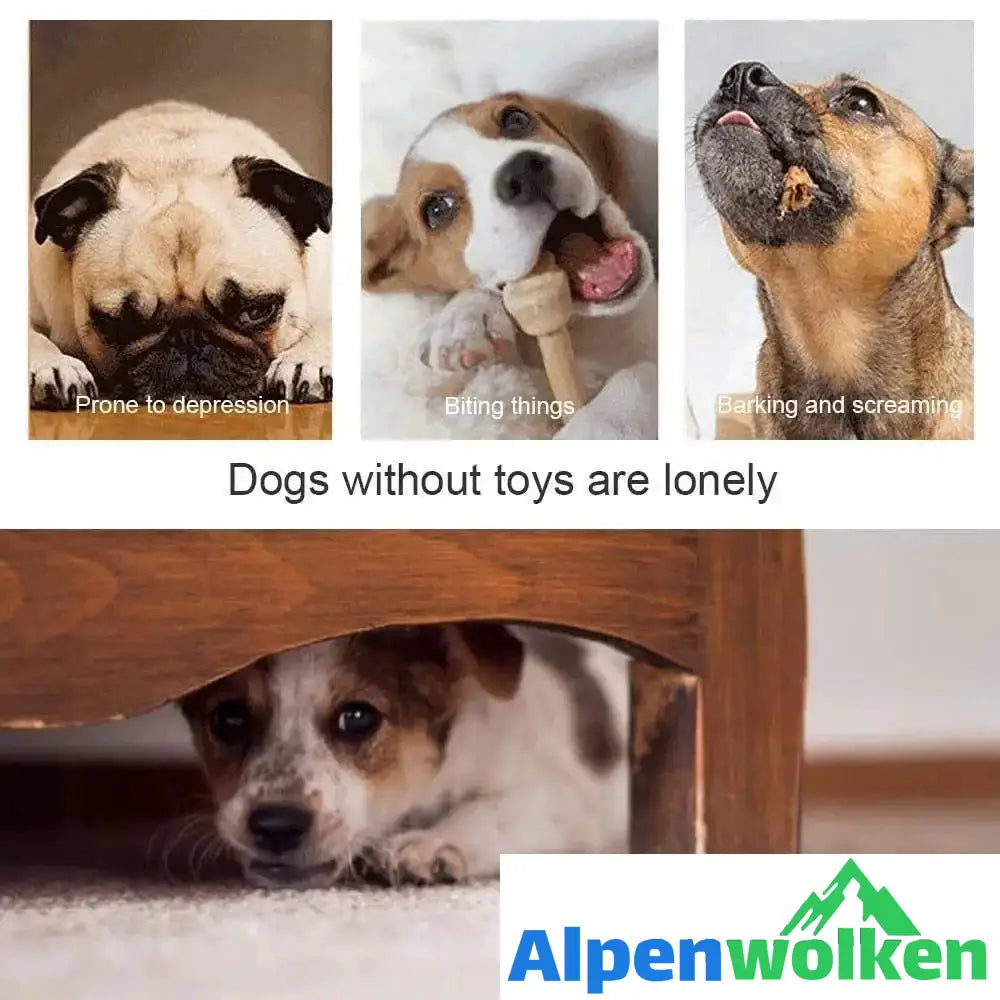 Alpenwolken - 🐶Interaktives Futterspielzeug mit Saugnapf🐶