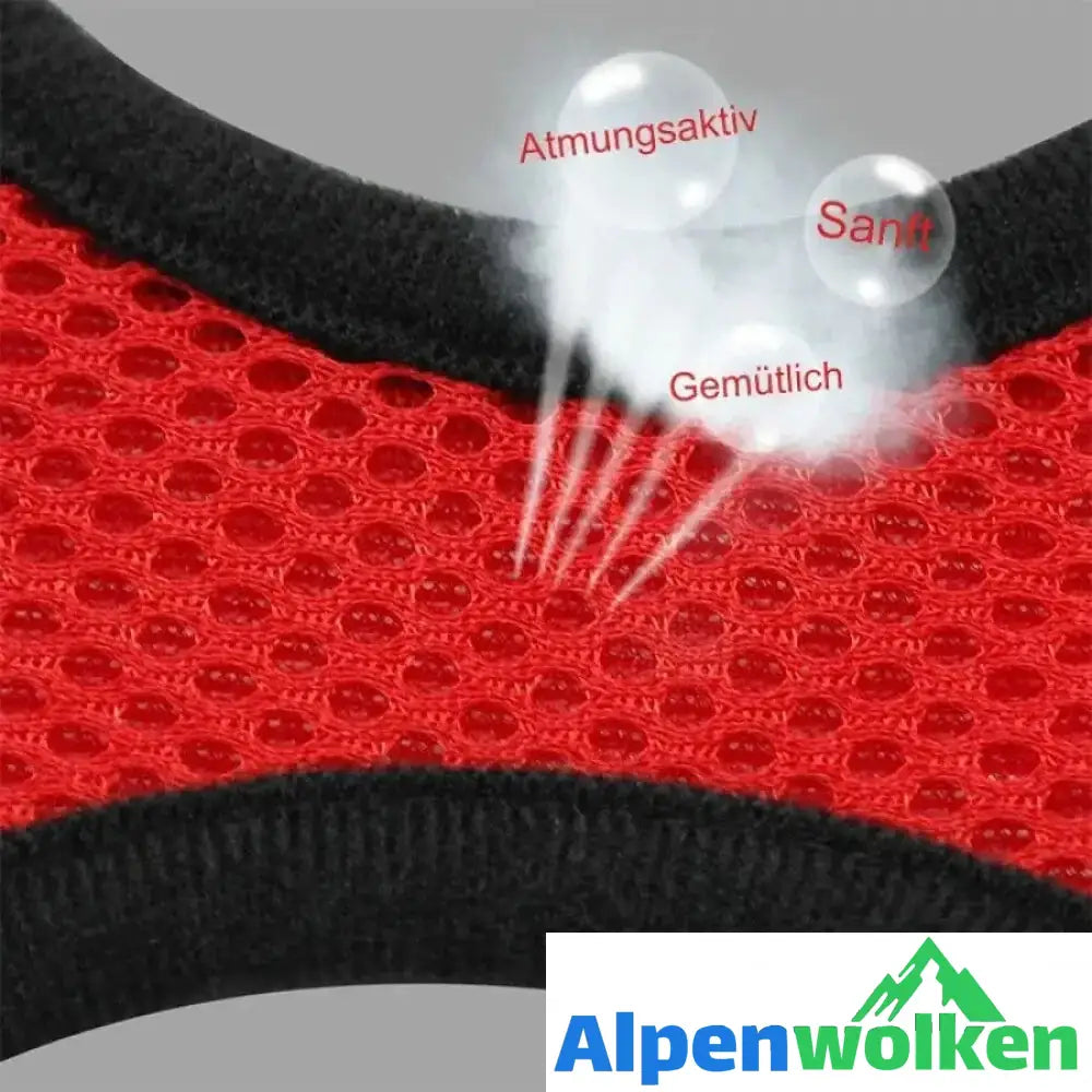 Alpenwolken - Katzengeschirr und Leine für Abenteuer