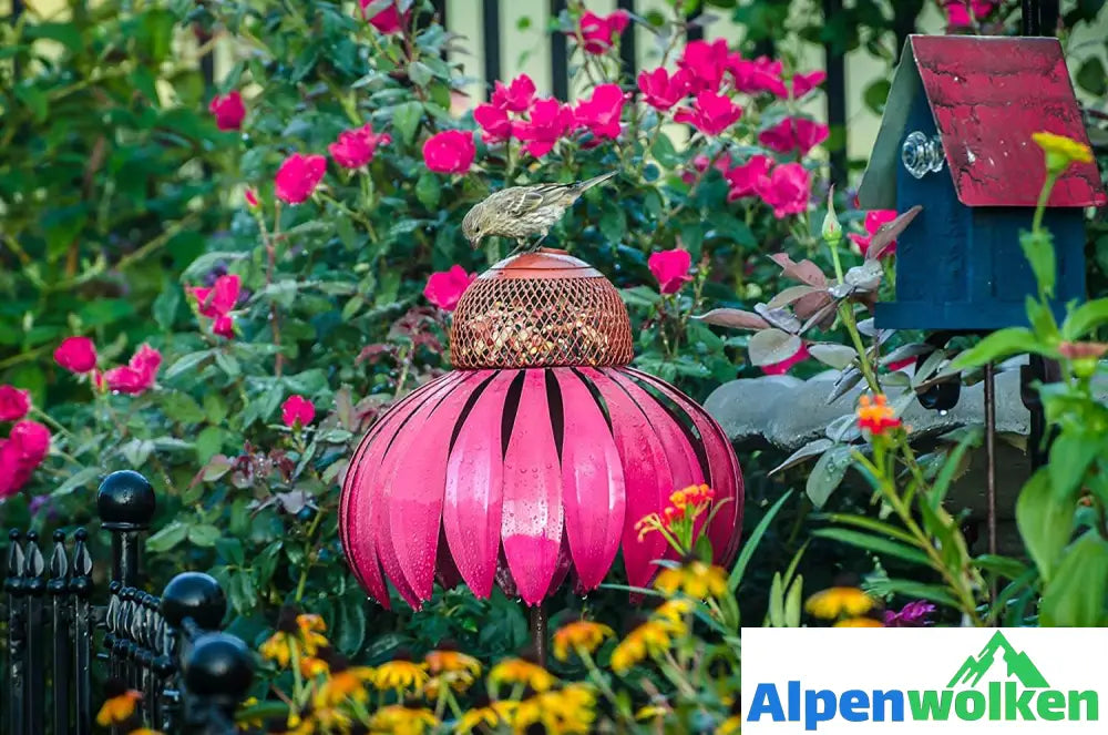 Alpenwolken - Kegelblume Vogelfutterhaus