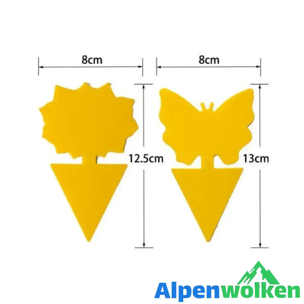 Alpenwolken - Klebrige Falle, Fruchtfliegenpilzmücke