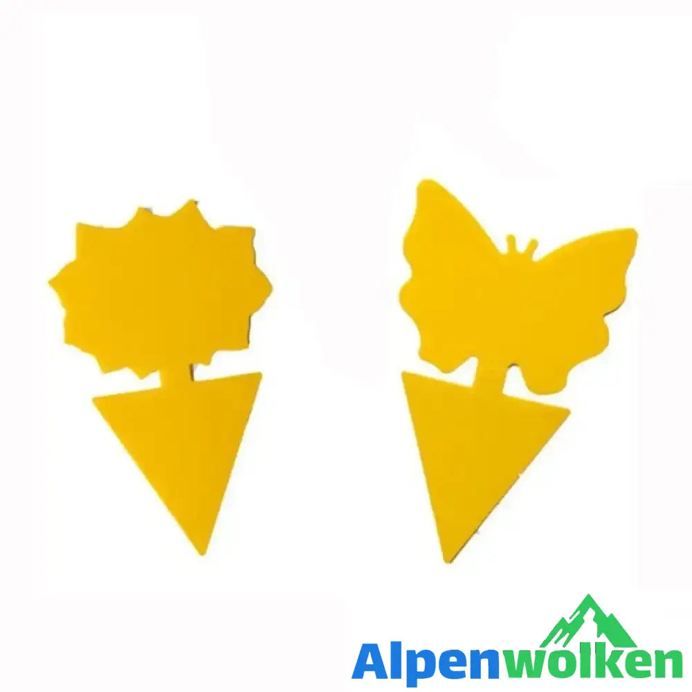 Alpenwolken - Klebrige Falle, Fruchtfliegenpilzmücke