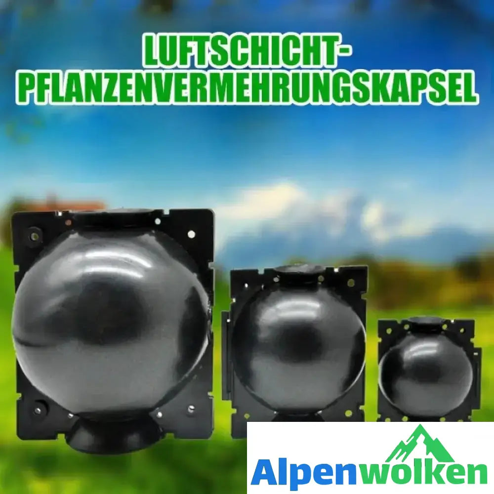 Alpenwolken - Luftschicht-Pflanzenvermehrungskapsel