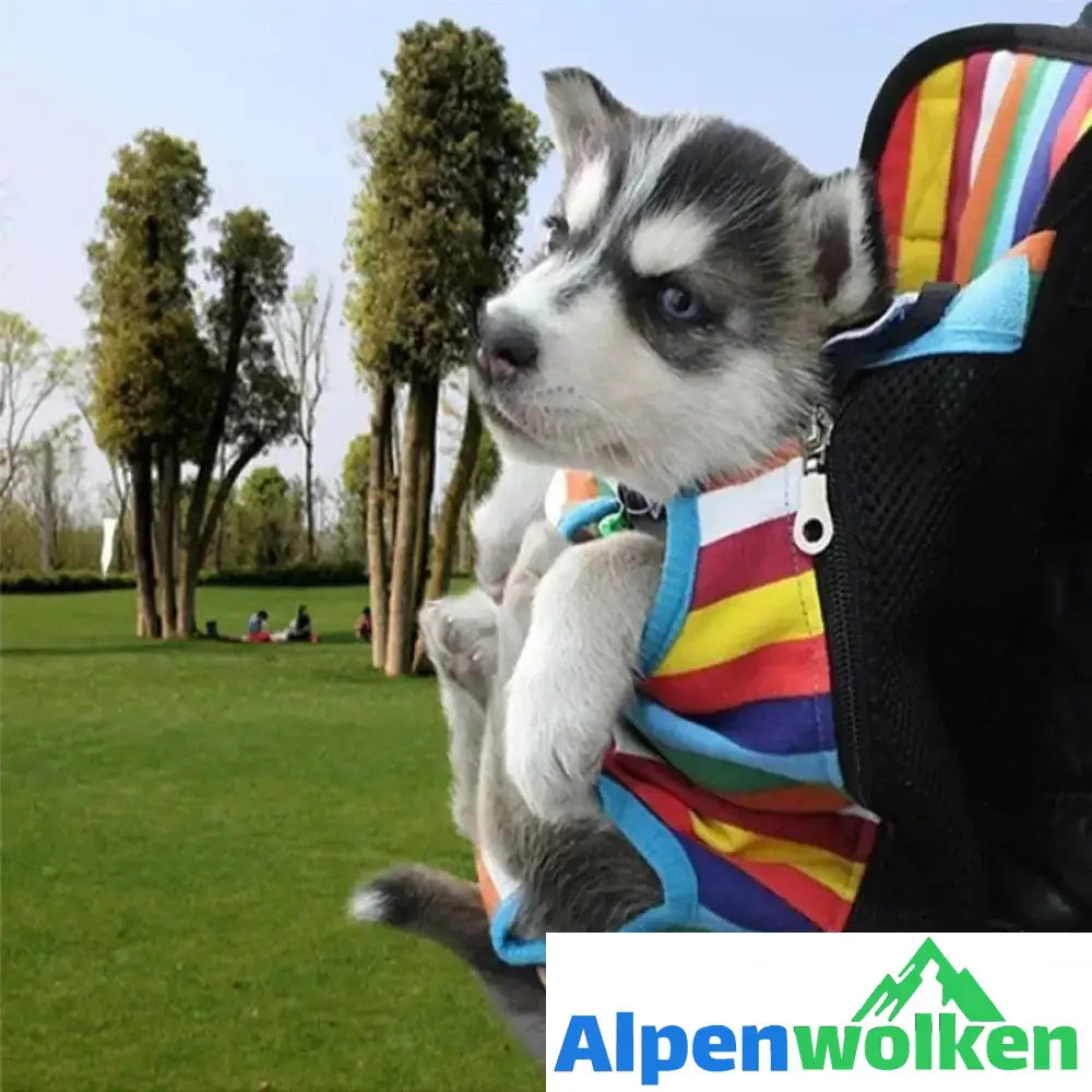 Alpenwolken - Neue praktische Haustiertasche