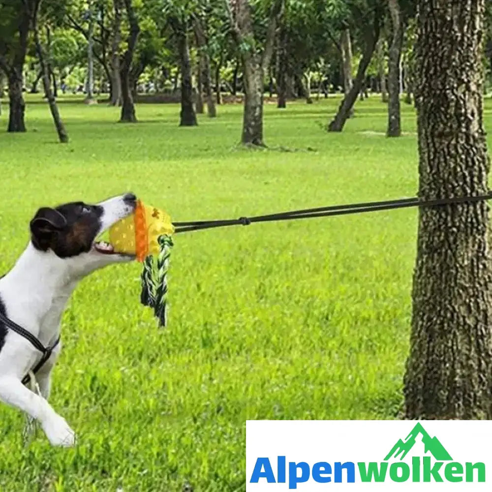 Alpenwolken - Pet Seilball Outdoor-Trainingsspielzeug