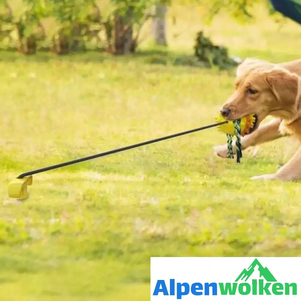 Alpenwolken - Pet Seilball Outdoor-Trainingsspielzeug