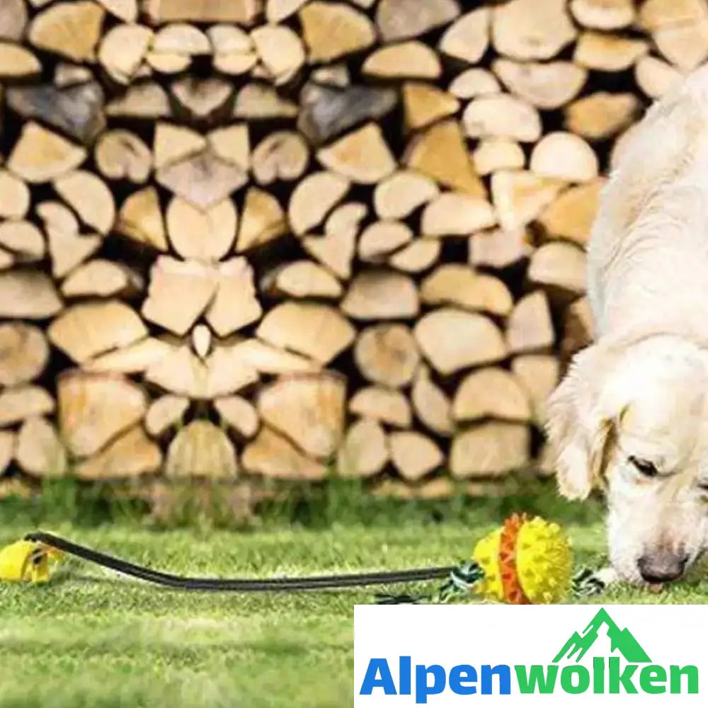 Alpenwolken - Pet Seilball Outdoor-Trainingsspielzeug